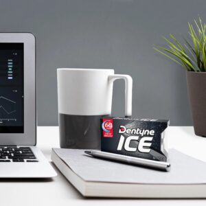 Dentyne Chewing Gum Arctic Chill